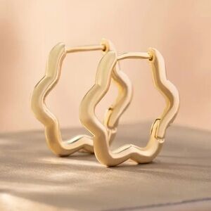 ✨Free People Alena Earrings